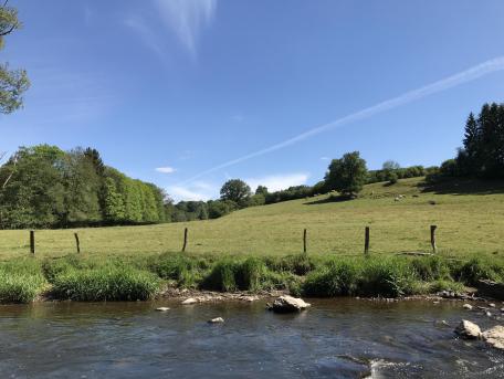 Extratrail Stavelot - Parcours noir