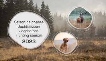 Chasse 2023