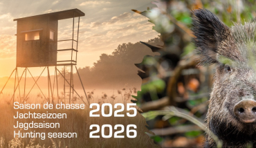 Extratrail - période de chasse 2025-2026
