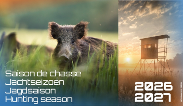 Chasse 2026-2027