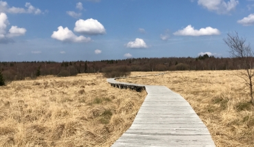 EXTRATRAIL Malmedy - Parcours noir