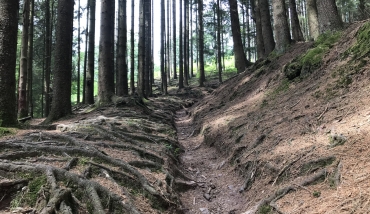 EXTRATRAIL Malmedy - Parcours rouge