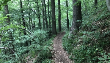 Malmedy - Parcours vert