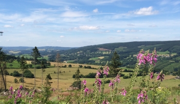 EXTRATRAIL Stavelot Parcours bleu