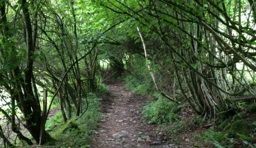 Stavelot - Parcours vert