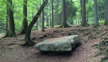 Trail à Jalhay - Dolmen