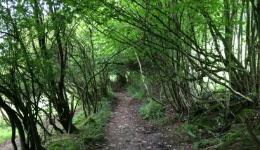 Stavelot - Parcours Balise Vert