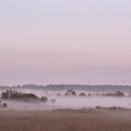 Jalhay - brume sur la Fagne - © Laurent Grenier