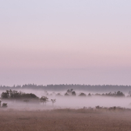 Extratrail Jalhay la fagne dans son bain de brouillard © Laurent Grenier