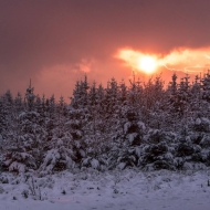 Extratrail Jalhay neige © Laurent Grenier