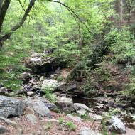 Extratrail Jalhay - Cascade des Nutons