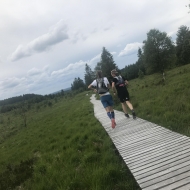 Extratrail UTDS - Hautes Fagnes