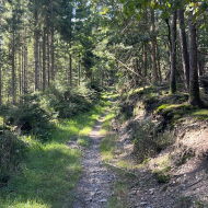 Trail à Stoumont, près de Chession