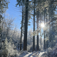 Extratrail Spa, running in nature with snowy and sunny conditions