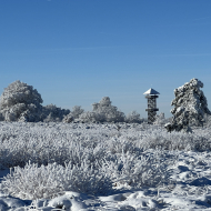 Extratrail Spa, trail-running near Berinzenne. Sun and snow.