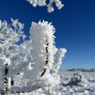 Extratrail Spa, frozen tracks offer awesome trail-running experience