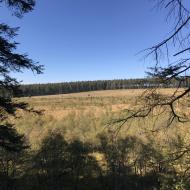 Extratrail Malmedy Parcours noir Fagne de La Polleur