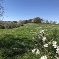 Extratrail Theux trailrunning in Ardennes Belgium - Chavieumont