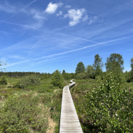 Extratrail Malmedy - parcours de trail noir et rouge + tracé UTDS, à proximité de la Fagne de Fraineu