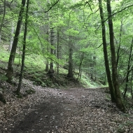 Trail à Stoumont - Sentiers