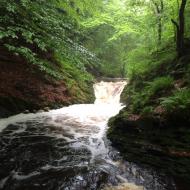 Cascade de la Hoegne