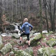 Cascade des nutons