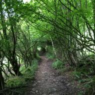 Trail à Stavelot - Parcours Vert