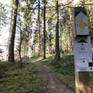 Trail à Stavelot - Stockeu